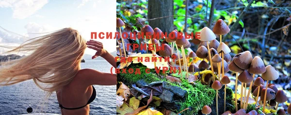 спиды Армянск