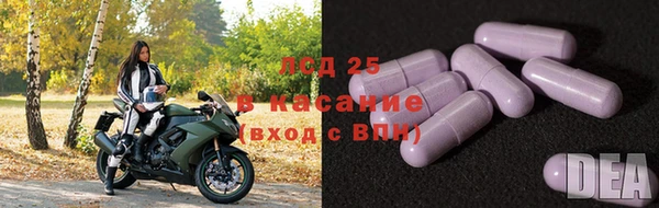 спиды Армянск
