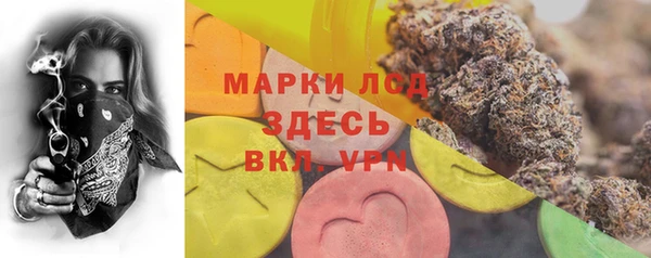 соль ск Аркадак