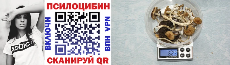 Псилоцибиновые грибы Magic Shrooms  shop наркотические препараты  Мегион 